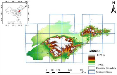 Early-season and refined mapping of winter wheat based on phenology algorithms - a case of Shandong, China